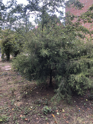 Продам дачу, 8-я Престижная ул, 21, Ростов-на-Дону г, 0 км от города