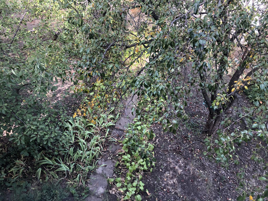 Продам дачу, 8-я Престижная ул, 21, Ростов-на-Дону г, 0 км от города