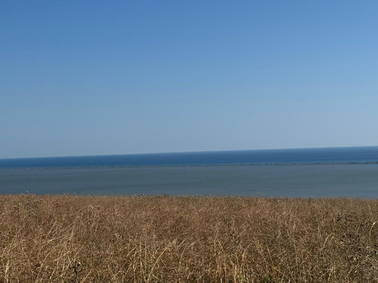 Продам участок 5 соток, ИЖС, Лиманный пер, 24, Веселовка п, 0 км от города