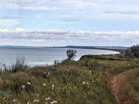 Продам участок 5 соток, ИЖС, Лиманный пер, 24, Веселовка п, 0 км от города