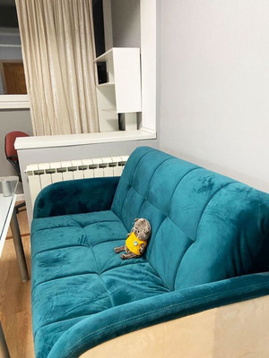 Продам однокомнатную (1-комн.) квартиру, Славянский б-р, 15, Москва г