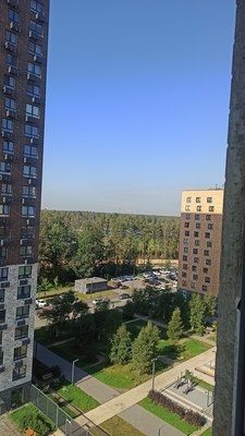 Продам однокомнатную (1-комн.) квартиру, Орлово-Денисовский пр-кт, 19к3, Санкт-Петербург г