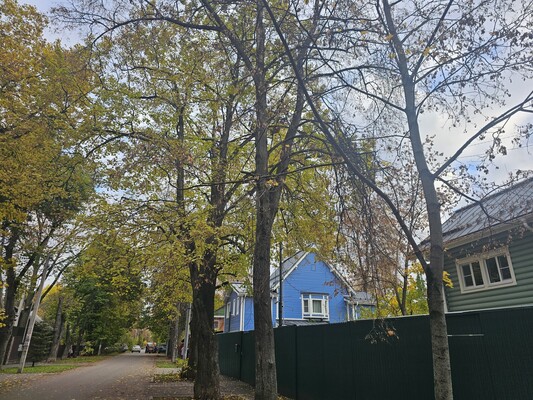 Продам трехкомнатную (3-комн.) квартиру, Панфилова ул, 10, Москва г