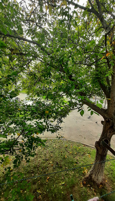 Продам однокомнатную (1-комн.) квартиру, Русская ул, 38а, Симферополь г