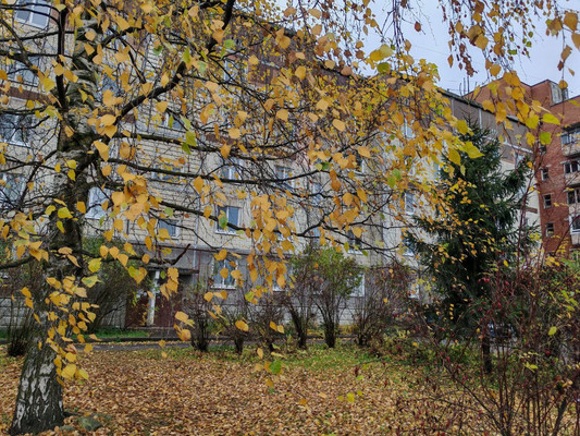 Продам однокомнатную (1-комн.) квартиру, Генерала Кныша ул, 10, Гатчина г