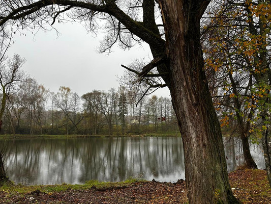 Продам дом, Семья снт, Акулово д, 0 км от города