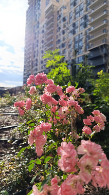 Продам многокомнатную квартиру, Обрывная ул, 132/1к27, Краснодар г