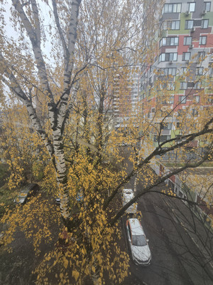 Продам однокомнатную (1-комн.) квартиру, Генерала Глаголева ул, 24к2, Москва г