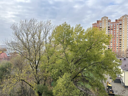 Продам двухкомнатную (2-комн.) квартиру, Центральная ул, 4, Пуршево д