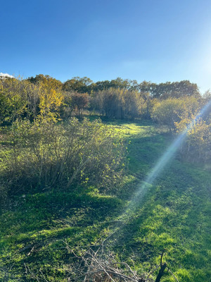 Продам участок 10 соток, Фермерское хоз., 11-й (Колос тер. СНТ) проезд, Куток х, 0 км от города