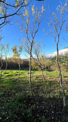 Продам участок 10 соток, Фермерское хоз., 11-й (Колос тер. СНТ) проезд, Куток х, 0 км от города