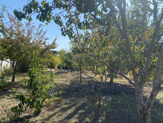 Продам участок 5 соток, ИЖС, Луч снт, Армавир г, 0 км от города