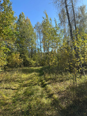 Продам землю для коммерческого использования 171 соток, ИЖС, Нара-2 снт, Зиброво д