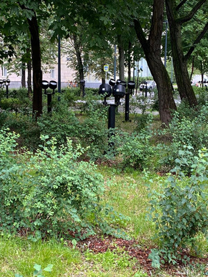 Продам двухкомнатную (2-комн.) квартиру, Дмитровка Б. ул, 8, Москва г