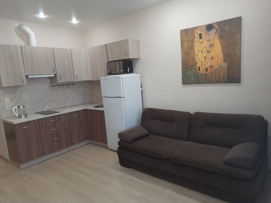 Продам однокомнатную (1-комн.) квартиру, Пражская ул, 13, Кудрово г