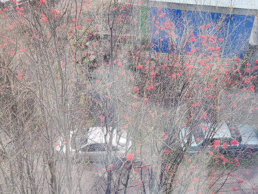 Продам двухкомнатную (2-комн.) квартиру, Молодежный проезд, 4, Мурманск г