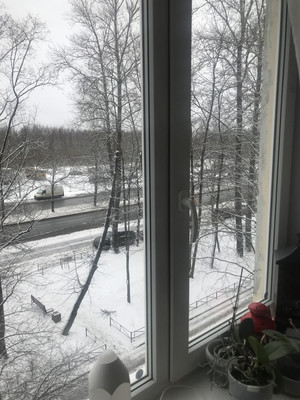 Продам однокомнатную (1-комн.) квартиру, Северный пр-кт, 87Ак1, Санкт-Петербург г