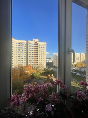 Продам двухкомнатную (2-комн.) квартиру, Стародеревенская ул, 6ак2, Санкт-Петербург г