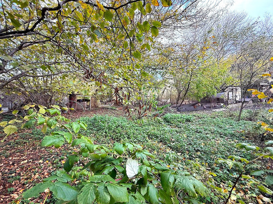 Продам дом, Комарова ул, 70, Апшеронск г, 0 км от города