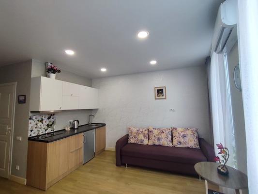 Продам однокомнатную (1-комн.) квартиру, Волжская (Центральный р-н) ул, 16, Сочи г