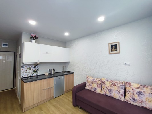 Продам однокомнатную (1-комн.) квартиру, Волжская (Центральный р-н) ул, 16, Сочи г