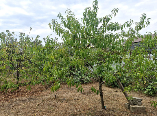 Продам дом, Победы ул, Белореченск г, 0 км от города