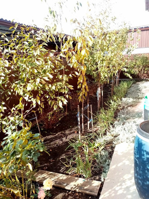 Продам дом, Станичная ул, 89А, Белореченск г, 0 км от города