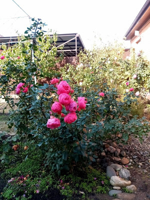 Продам дом, Станичная ул, 89А, Белореченск г, 0 км от города