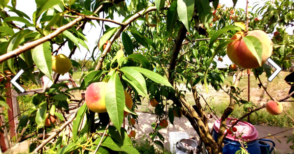 Продам дом, Гоголя ул, Белореченск г, 0 км от города