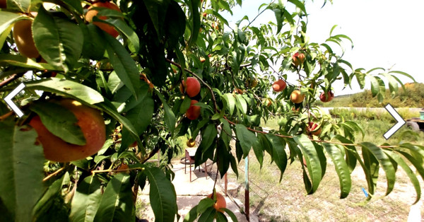 Продам дом, Гоголя ул, Белореченск г, 0 км от города