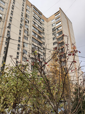 Продам однокомнатную (1-комн.) квартиру, Подольская ул, 12, Северово д