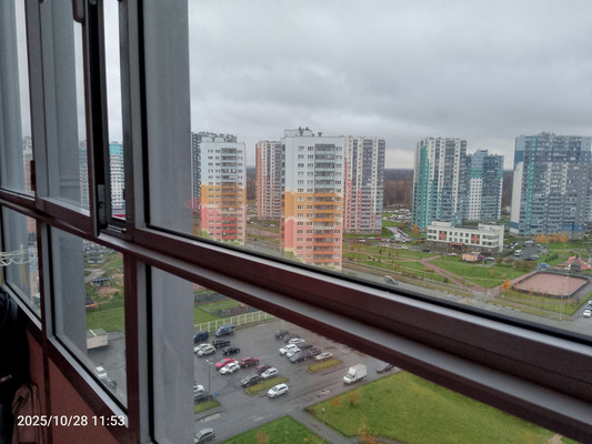 Продам двухкомнатную (2-комн.) квартиру, Маршака пр-кт, 16к4, Санкт-Петербург г