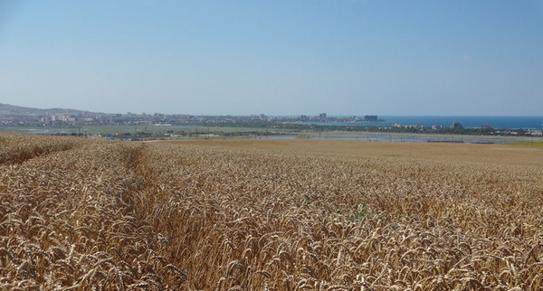 Продам участок 13 соток, Фермерское хоз., Красная Горка х, 0 км от города