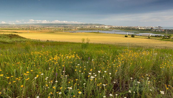 Продам участок 13 соток, Фермерское хоз., Красная Горка х, 0 км от города