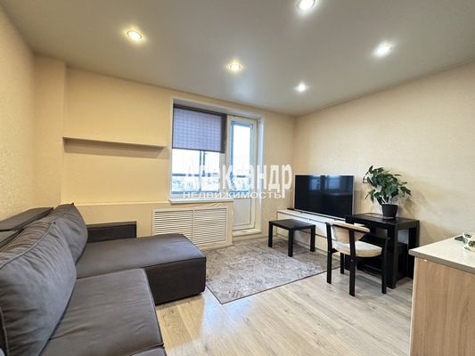 Продам однокомнатную (1-комн.) квартиру, Авиаторов Балтики пр-кт, 5, Мурино п