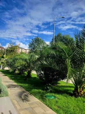 Продам двухкомнатную (2-комн.) квартиру, Тимирязева (Прохлада снт) ул, 34б, Сочи г