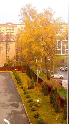 Продам двухкомнатную (2-комн.) квартиру, Шевлякова ул, 7, Люберцы г