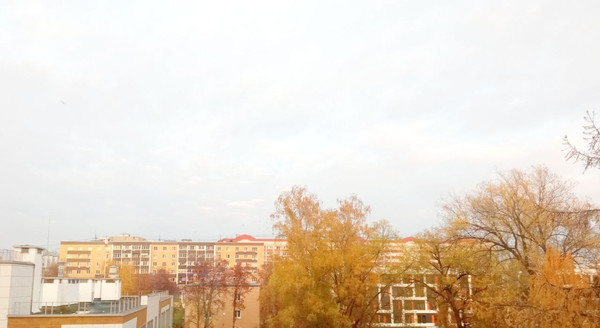 Продам двухкомнатную (2-комн.) квартиру, Шевлякова ул, 7, Люберцы г