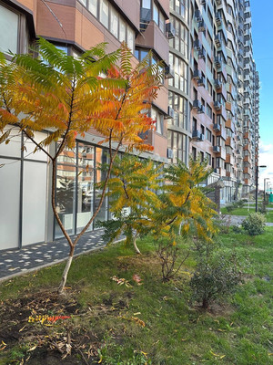 Продам однокомнатную (1-комн.) квартиру, Командорская ул, 15, Краснодар г