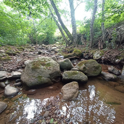 Продам участок 18,6 соток, ИЖС, Южная ул, Хамышки с, 0 км от города