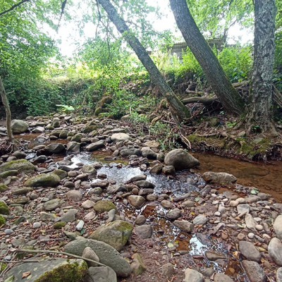 Продам участок 18,6 соток, ИЖС, Южная ул, Хамышки с, 0 км от города