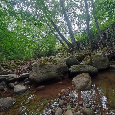 Продам участок 18,6 соток, ИЖС, Южная ул, Хамышки с, 0 км от города