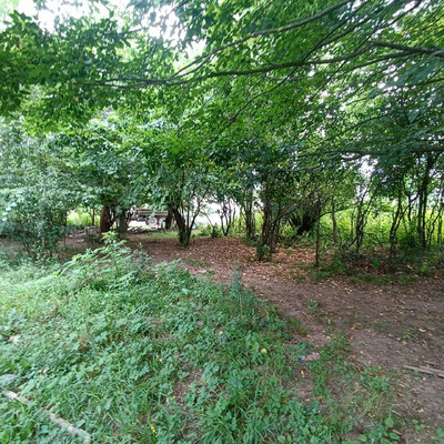 Продам участок 18,6 соток, ИЖС, Южная ул, Хамышки с, 0 км от города