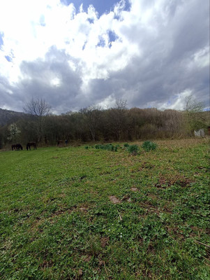 Продам участок 18,6 соток, ИЖС, Южная ул, Хамышки с, 0 км от города