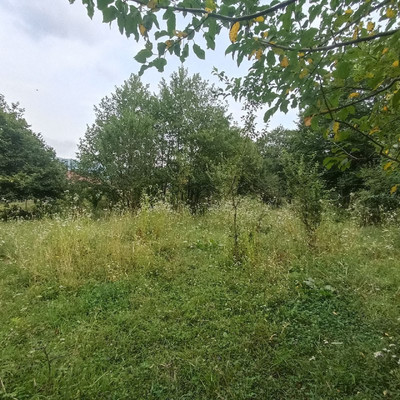 Продам участок 18,6 соток, ИЖС, Южная ул, Хамышки с, 0 км от города