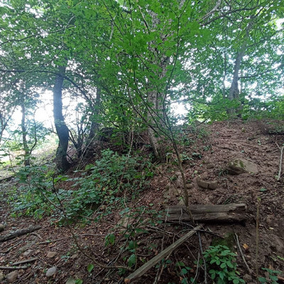 Продам участок 18,6 соток, ИЖС, Южная ул, Хамышки с, 0 км от города