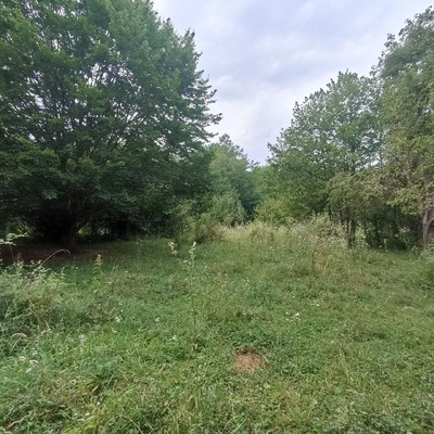 Продам участок 18,6 соток, ИЖС, Южная ул, Хамышки с, 0 км от города