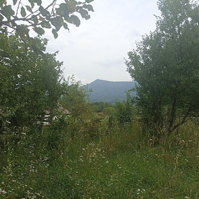 Продам участок 18,6 соток, ИЖС, Южная ул, Хамышки с, 0 км от города