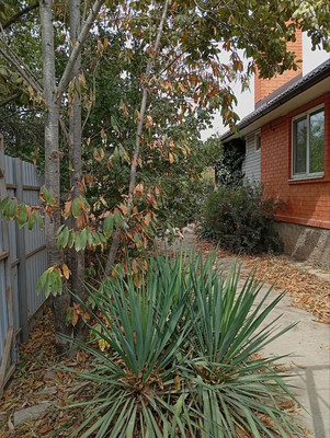 Продам дом, Благодатная ул, 44, Родники п, 0 км от города