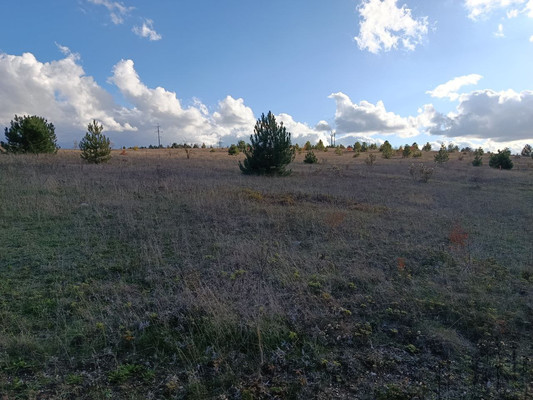 Продам участок 11,3 соток, ИЖС, Луговая ул, 22, Пионерское с, 0 км от города